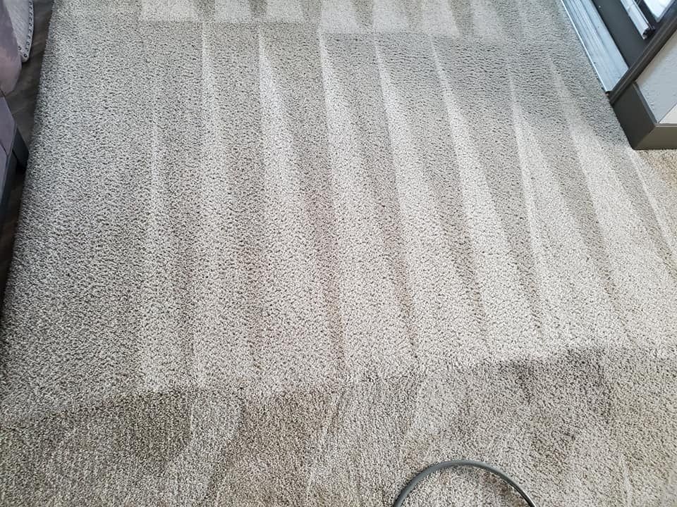 St. Petersburg Carpet Cleaning by Tampa Steam Team