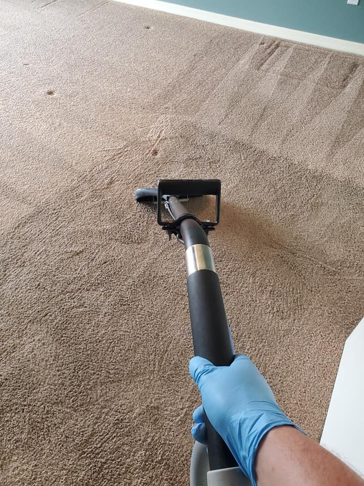 Plant City Carpet Cleaning by Tampa Steam Team
