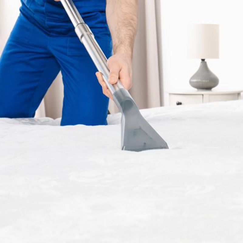 Plant City Mattress Cleaning by Tampa Steam Team