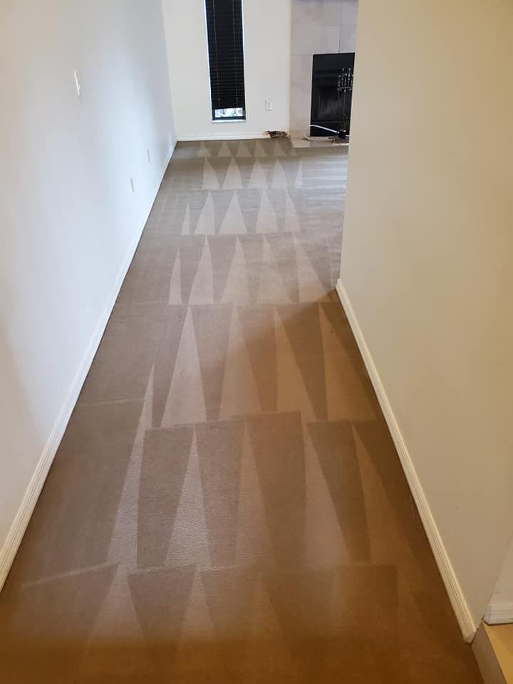Brandon Carpet Cleaning by Tampa Steam Team