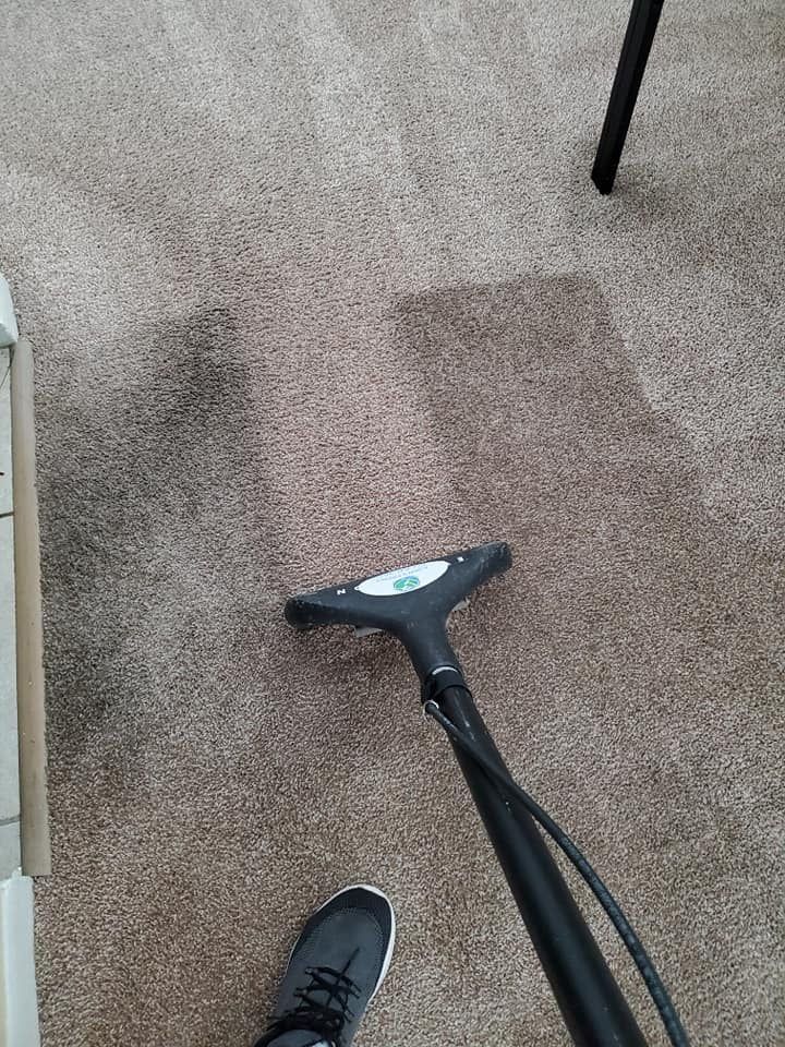 Lutz Carpet Cleaning by Tampa Steam Team