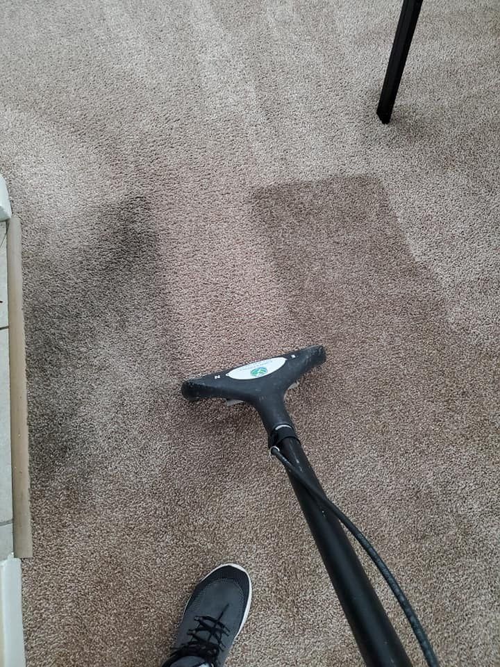 Bloomingdale Carpet Cleaning by Tampa Steam Team