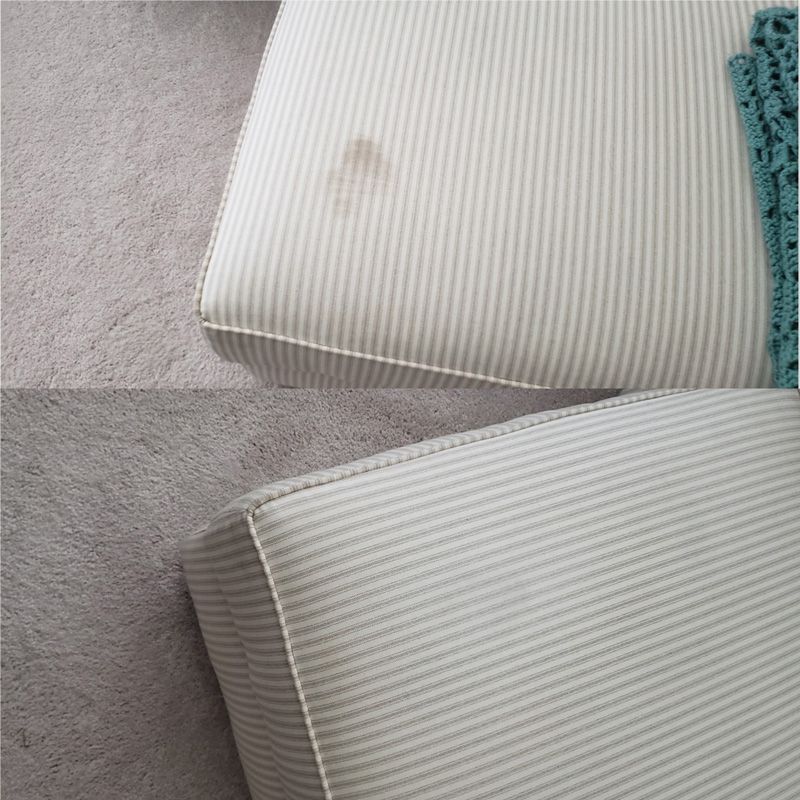 Tampa Upholstery Cleaning by Tampa Steam Team