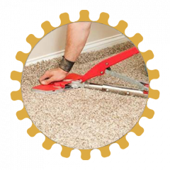 Lutz Carpet Repair Icon