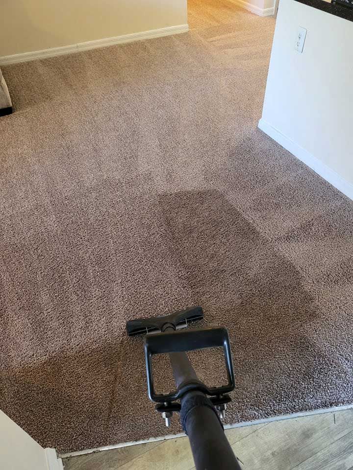Plant City Upholstery Cleaning by Tampa Steam Team