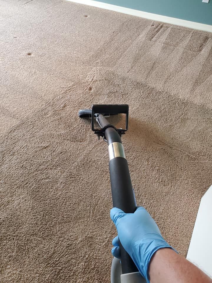 Carpet Cleaning in Terrace by Tampa Steam Team