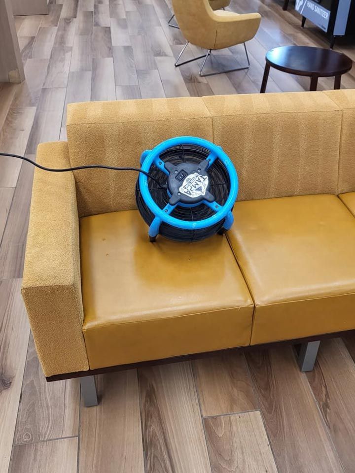Plant City Upholstery Cleaning by Tampa Steam Team