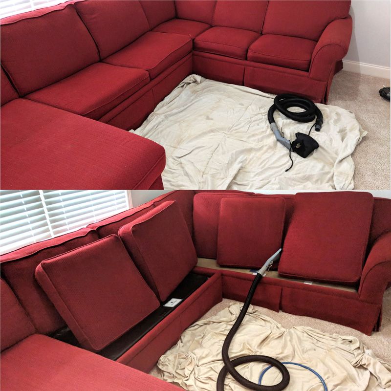 Tampa Upholstery Cleaning by Tampa Steam Team